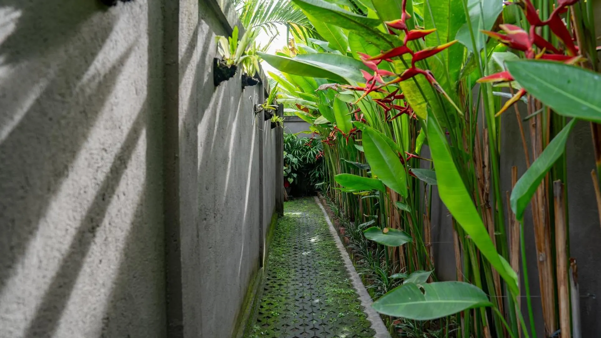 Pertiwi Uma Sari Villa Ubud  0*, Ubud (Bali)